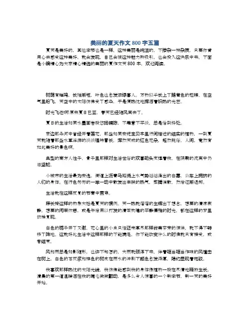 美丽的夏天作文800字五篇