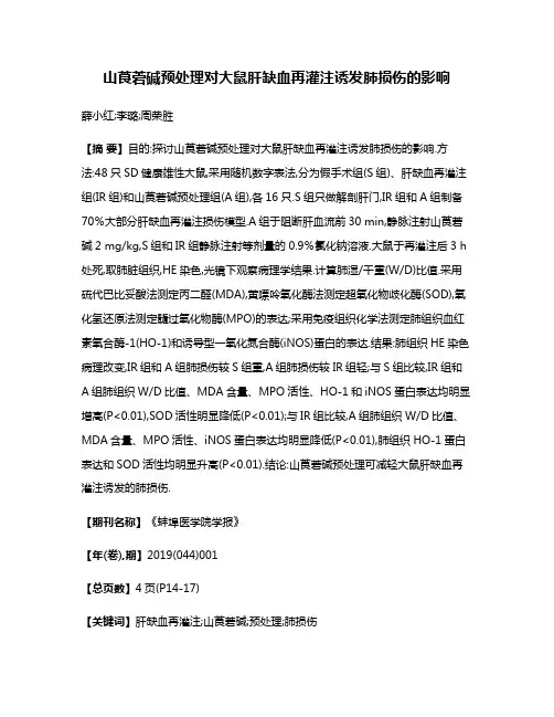 山莨菪碱预处理对大鼠肝缺血再灌注诱发肺损伤的影响