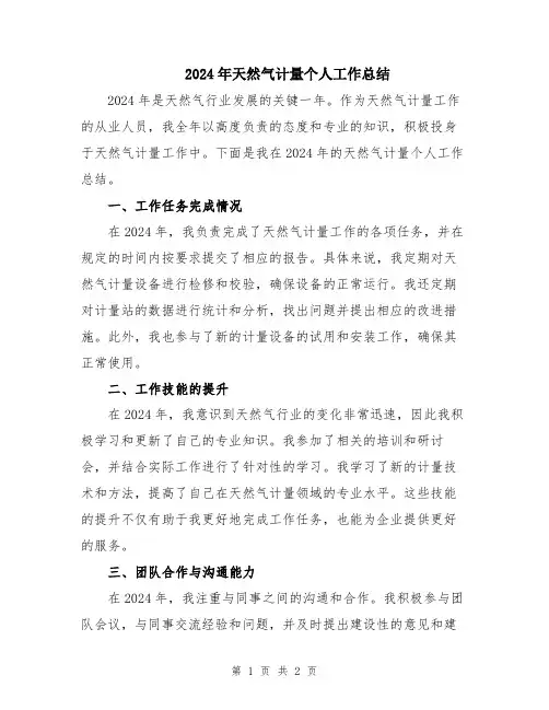 2024年天然气计量个人工作总结