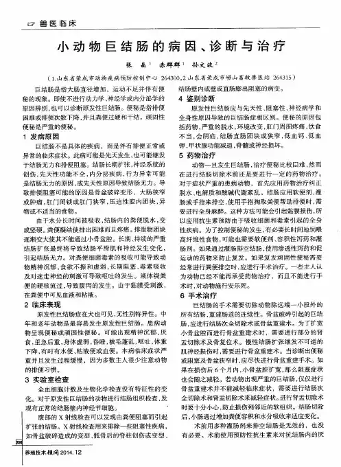 小动物巨结肠的病因、诊断与治疗