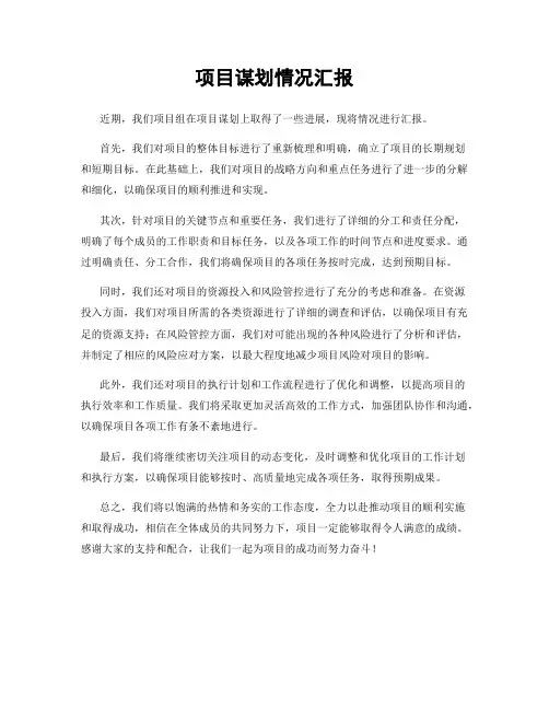 项目谋划情况汇报