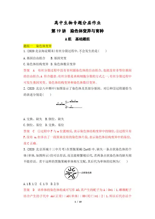 高考生物一轮复习专题作业19：染色体变异与育种