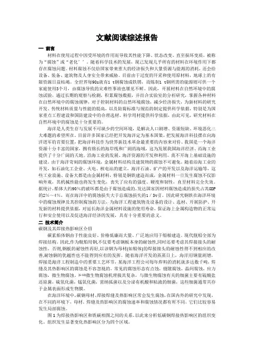 文献综述