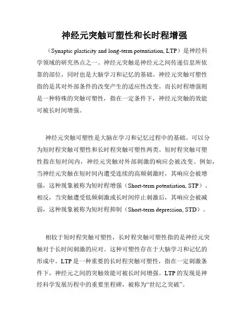 神经元突触可塑性和长时程增强
