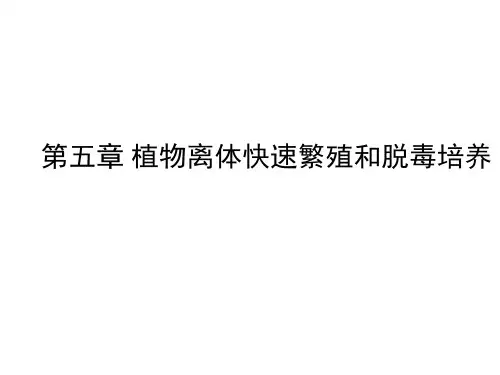 第五章 植物离体快速繁殖和脱毒培养