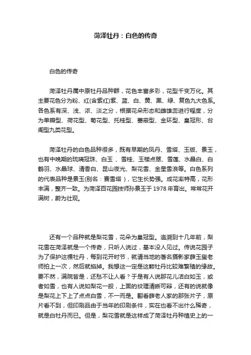 菏泽牡丹：白色的传奇