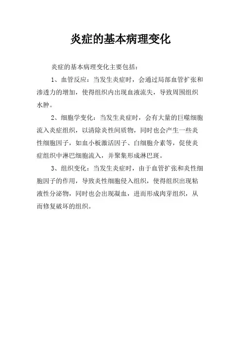 炎症的基本病理变化