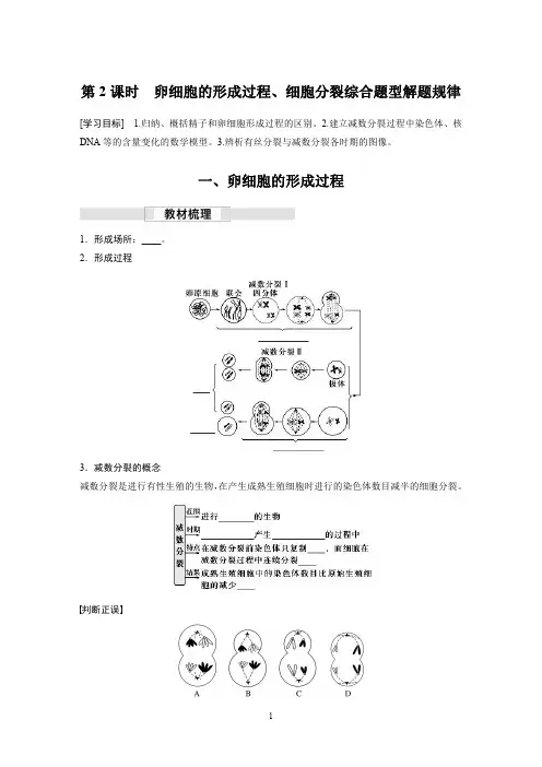 第2章 第1节 第2课时 卵细胞的形成过程、细胞分裂综合题型解题规律
