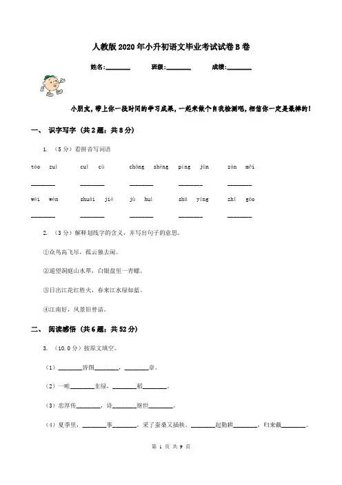 人教版2020年小升初语文毕业考试试卷B卷