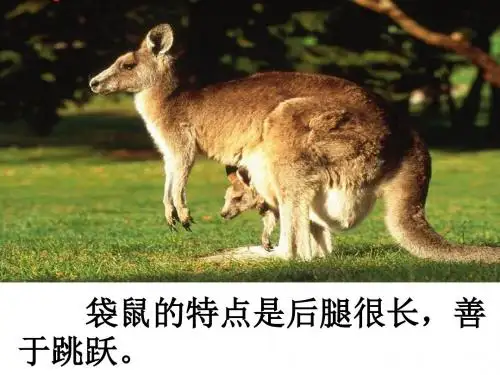 从现在开始__PPT优秀课件
