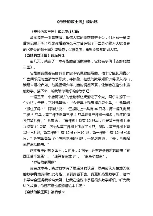 《奇妙的数王国》读后感