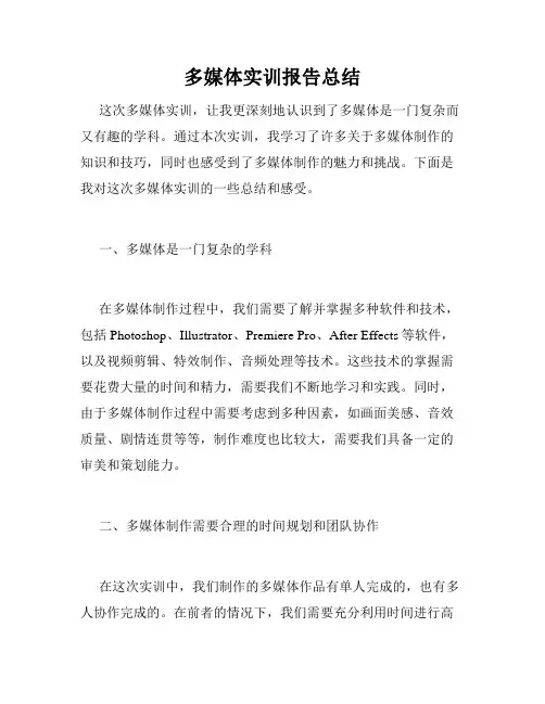 多媒体实训报告总结