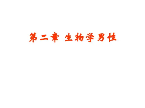 第二章生物学男性演示文稿