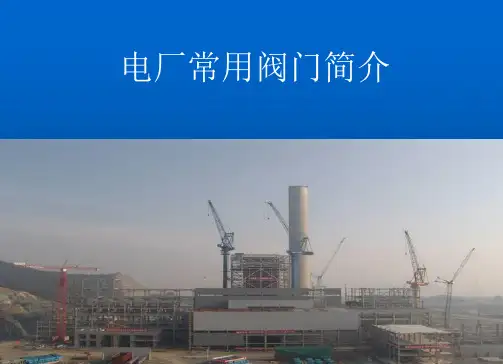 国内电厂常用阀门简介