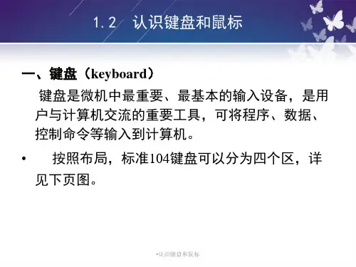 认识键盘和鼠标经典实用