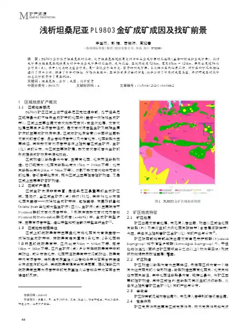 浅析坦桑尼亚PL9803金矿成矿成因及找矿前景