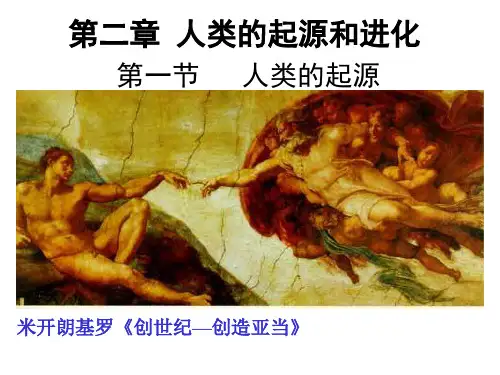生物《人类的起源》 ppt课件