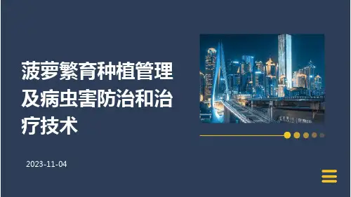 菠萝繁育种植管理及病虫害防治和治疗技术