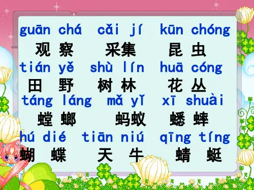 识字4ppt课件
