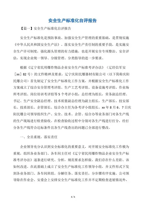 安全生产标准化自评报告