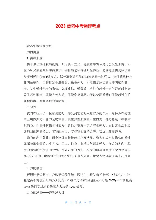 2023青岛中考物理考点