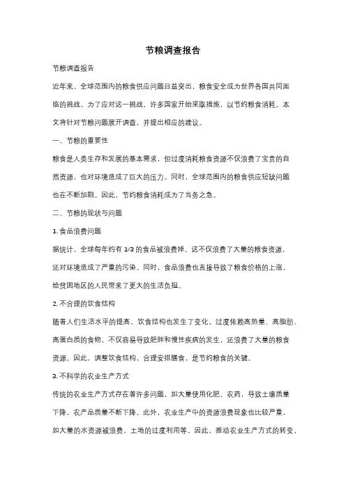 节粮调查报告