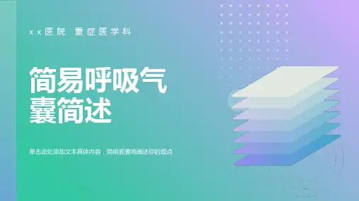 简易呼吸气囊简述