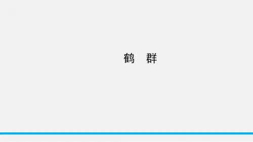 语文版七下册4.《鹤群》知识点梳理ppt课件