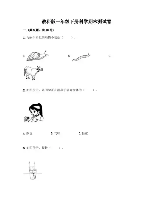 教科版一年级下册科学期末测试卷附参考答案(完整版)