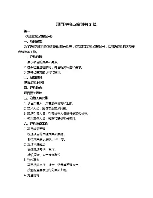 项目迎检点策划书3篇