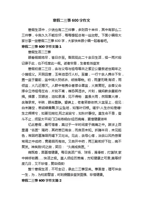 寒假二三事600字作文
