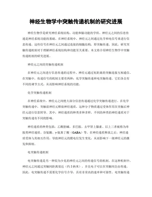 神经生物学中突触传递机制的研究进展