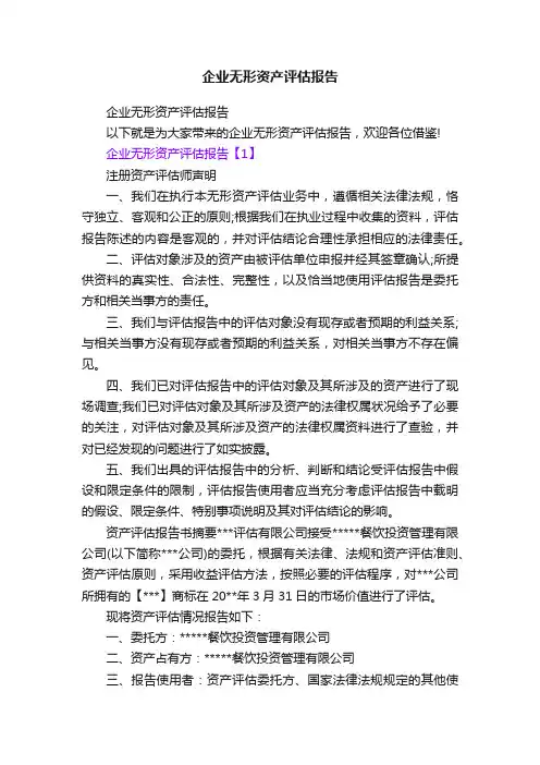 企业无形资产评估报告