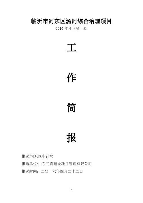 水利建设项目简报
