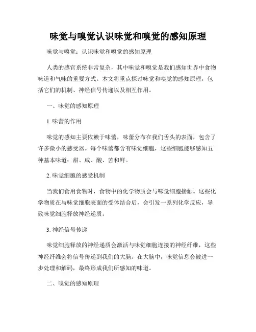 味觉与嗅觉认识味觉和嗅觉的感知原理