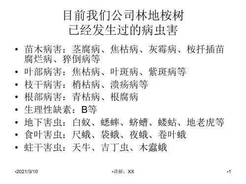 桉树常见病虫害及防治