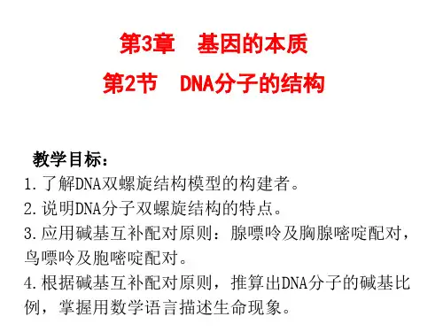 DNA 分子的结构 人教版高中生物必修二PPT优质课件(共27张)