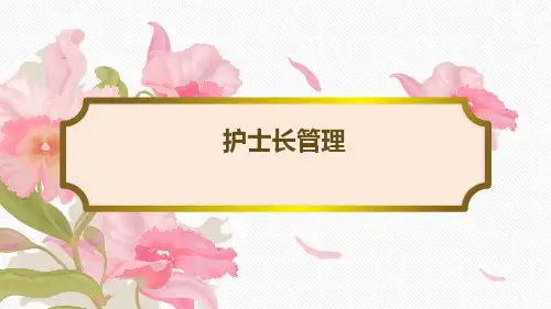 《护士长管理》ppt课件
