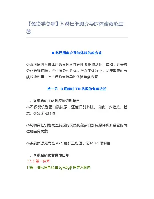 【免疫学总结】B淋巴细胞介导的体液免疫应答