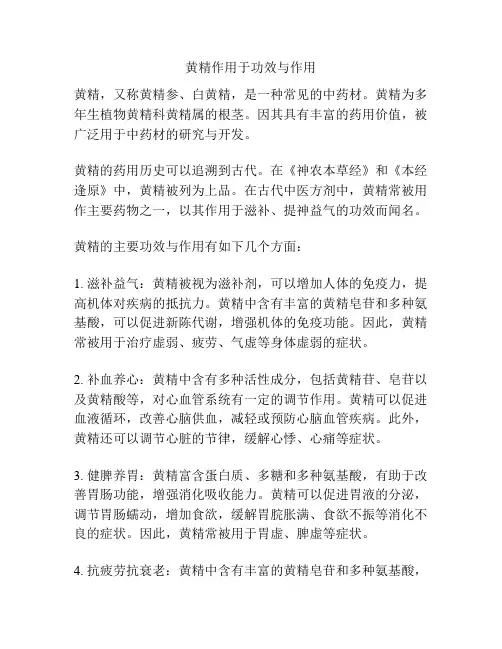 黄精作用于功效与作用
