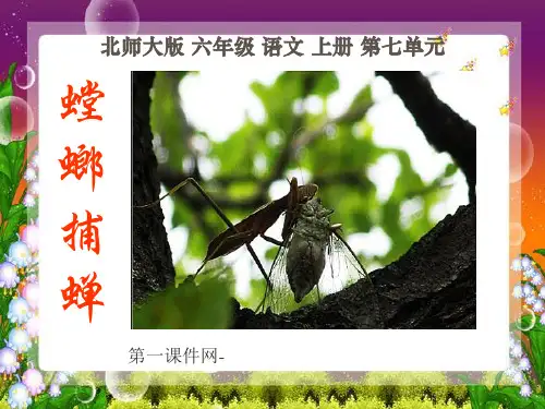 螳螂捕蝉ppt-北师大版六年级语文上册PPT优选课件