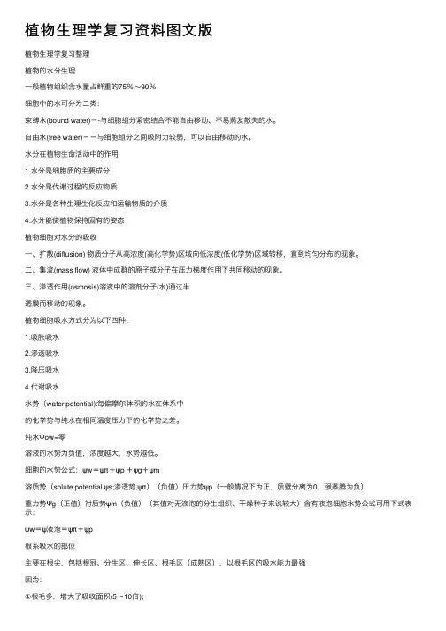 植物生理学复习资料图文版