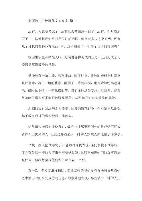 美丽的三中校园作文800字