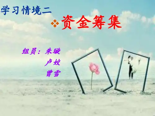 资金筹集ppt..