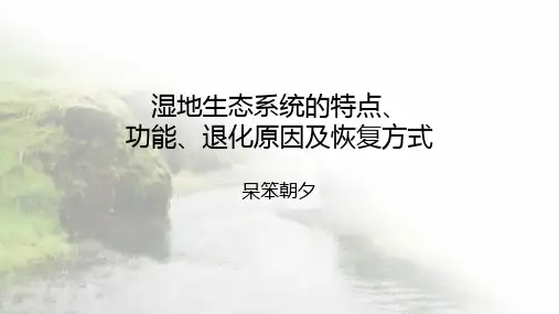 湿地生态系统的特点、功能、退化原因及恢复方式
