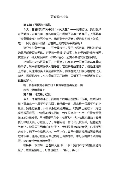 可爱的小松鼠