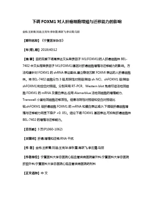 下调FOXM1对人肝癌细胞增殖与迁移能力的影响