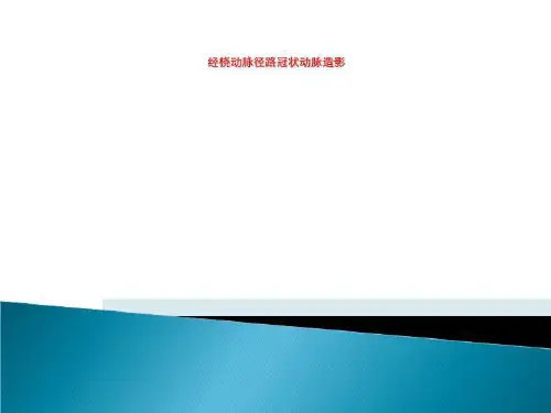 经桡动脉径路冠状动脉造影