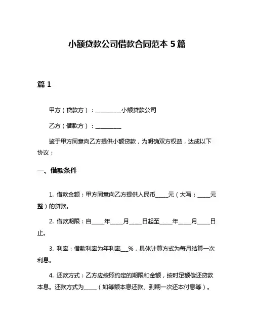 小额贷款公司借款合同范本5篇