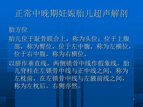 正常中晚期妊娠胎儿超声解剖